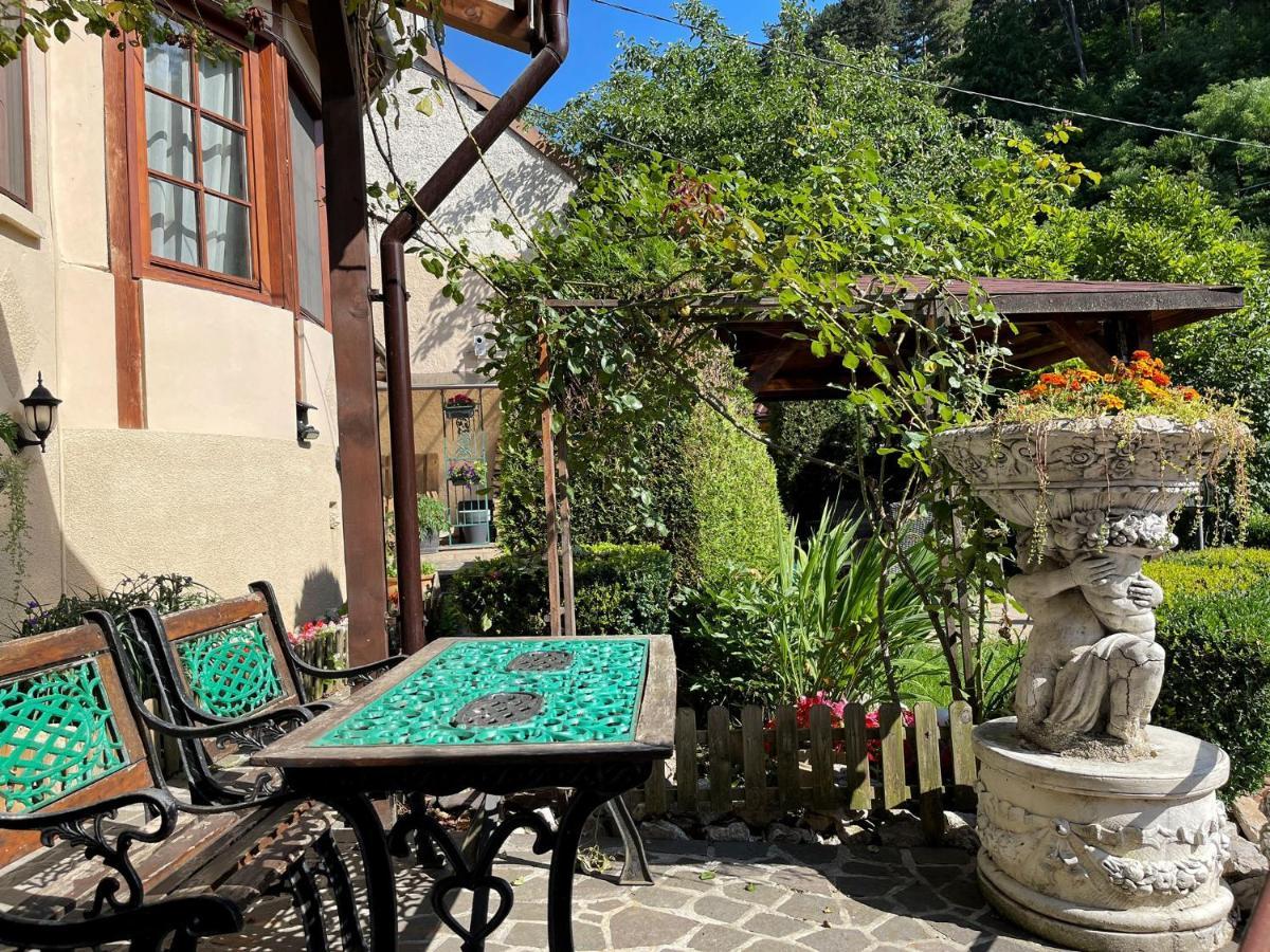 Dream House Brasov Hotel Bagian luar foto